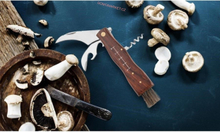 ORION Nůž na houby se štětečkem 7 cm